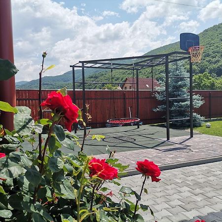 Dio Vendeghaz Hotel Praid Ngoại thất bức ảnh